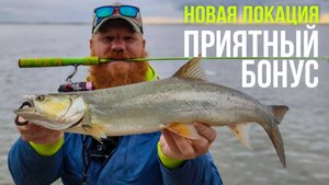 Рыбалка в СЕКРЕТНОМ месте на Амуре, ЖЕЛТОЩЕК, АУХА на ДЖИГ