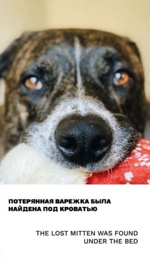 Варежка