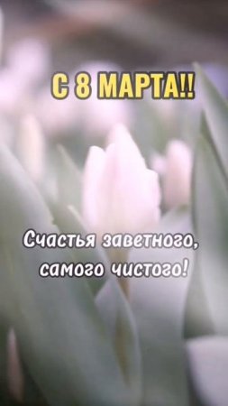 С 8 марта!! #8марта #праздник #открытка #поздравление #международныйженскийдень  #с8марта