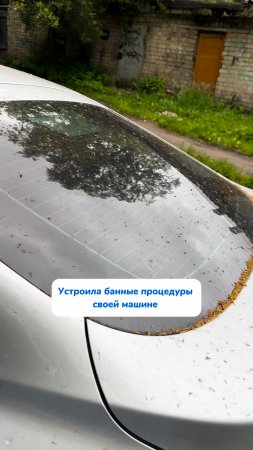 Как убрать в салоне авто быстро 💦