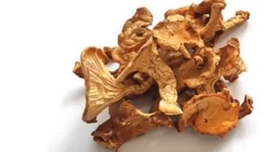 Удивительные грибы лисички