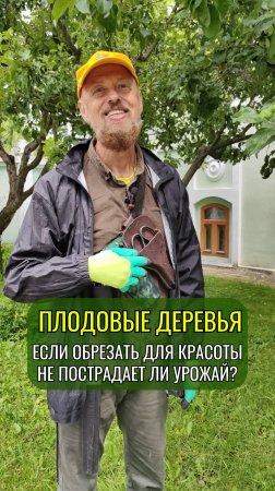 Плодовые деревья. Если обрезать для красоты, не пострадает ли урожай? #сад
