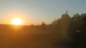 С ДОБРЫМ УТРЕЧКОМ! И ПОМЧИТ ДОРОГА.