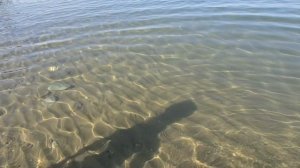 на море с утра 10.07.25