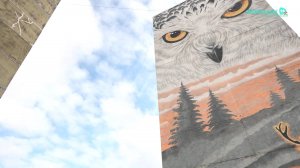 Норильские новости – 09.07.2025