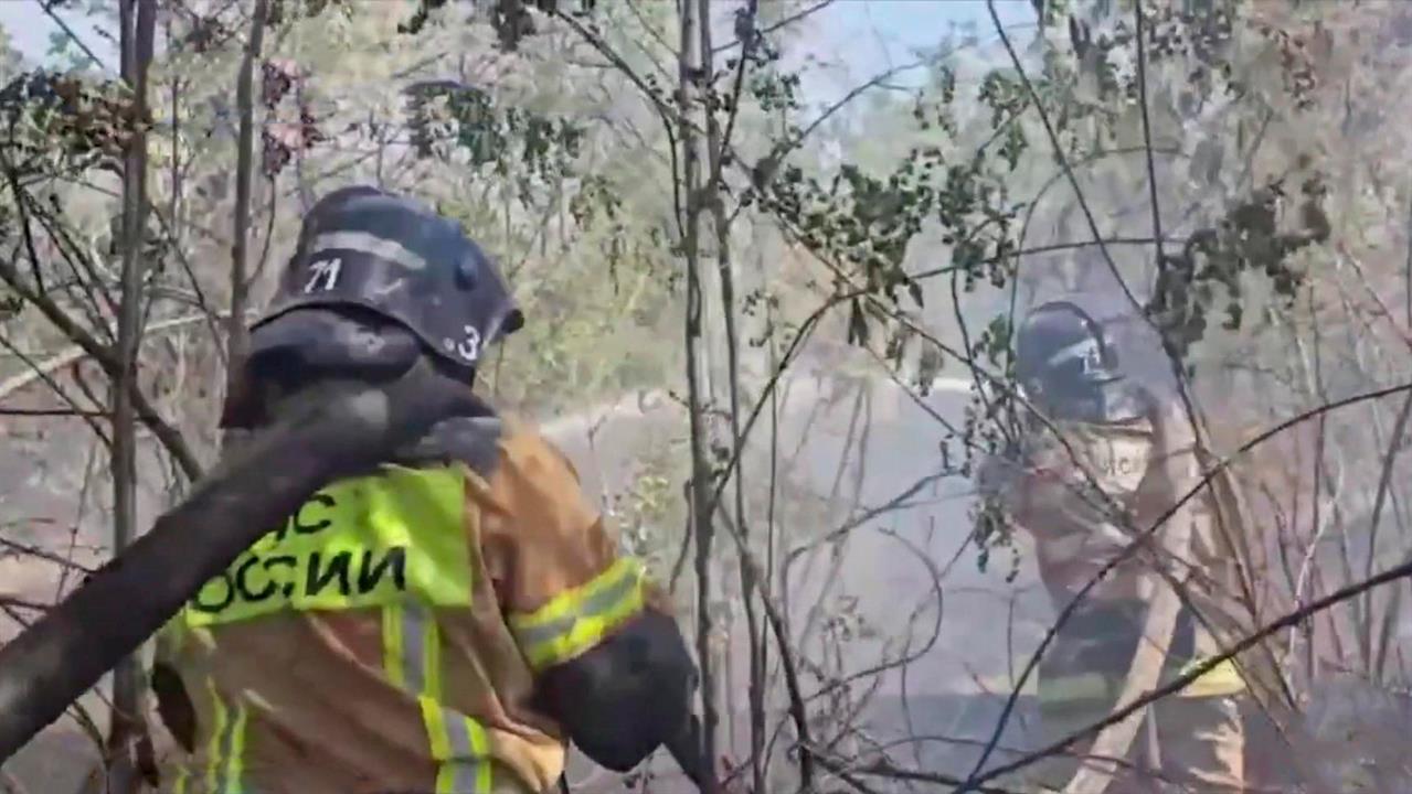 Появились кадры крупного лесного пожара в Ростовской области