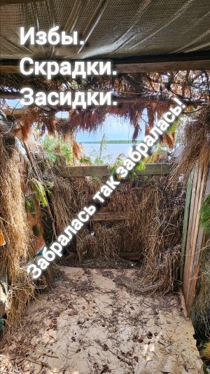 Чёс по избам на озере. Засидки. Скрадки. Вышла из дома пропылесосить багажник машины, и пропала