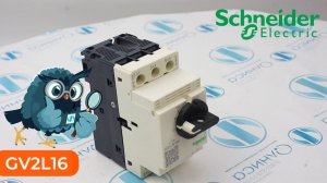 GV2L16 Выключатель автоматический Schneider Electric - Олниса