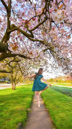 Spring dance