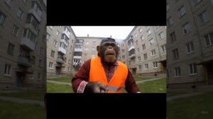 какгда не можешь найти свое призвание