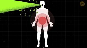 Действительно ли ваш дом безопасен? // Обычные вещи со скрытыми рисками