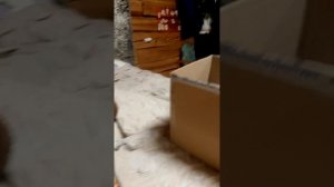 собираем лабубу в поход