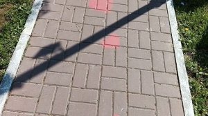 Здесь можно целоваться! 💋