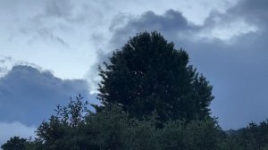 IMG_6799