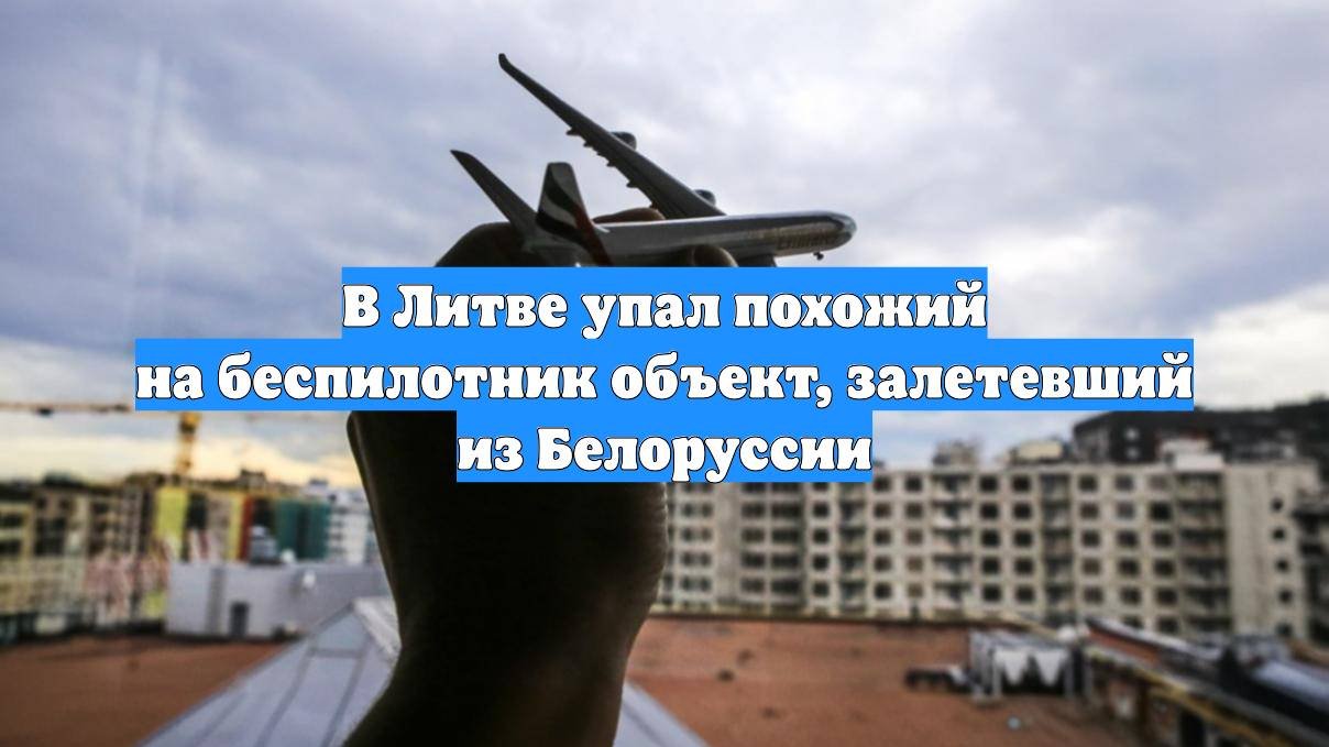 В Литве упал похожий на беспилотник объект, залетевший из Белоруссии