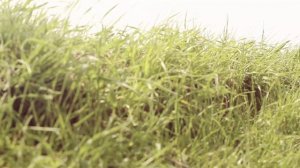 Разбор современный эффектов урок 6-3