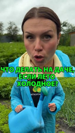 Что делать на даче, если лето холодное