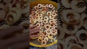 1000088255.mp4
