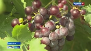 В Москве подвели итоги шестого сезона популярной премии «50 легендарных брендов»