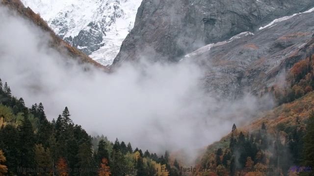 Природа оживает когда звучит такая мощная музыка - Impulse -- Ketsa -- Metaphysics