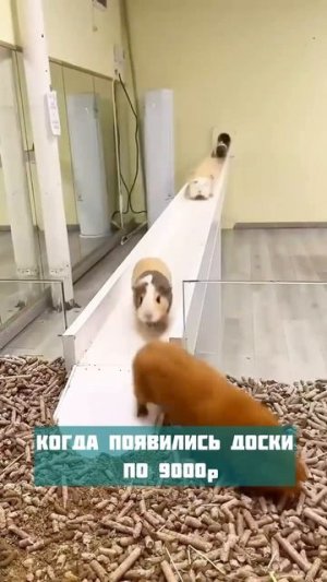 Кто такой же?