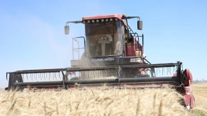 Уборочная кампания УНПЦ "Горная Поляна" Волгоградского ГАУ 2025