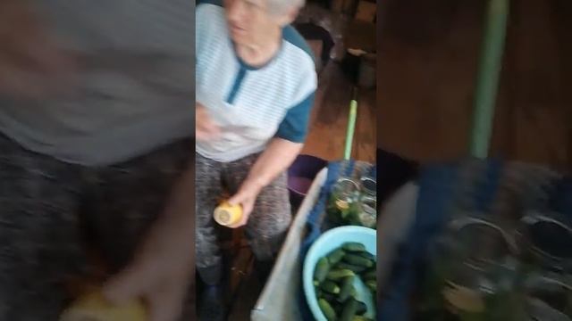 деревня,