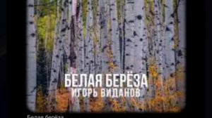 Белая берёза. Русская народная песня. Кавер. #белаябереза #кавер #моикаверы #пробуюпеть