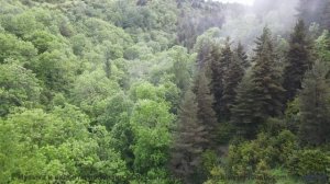 Лёгкие наполняются свежестью вместе со звучащими нотами - Good Vibes -- HoliznaCC0 -- Left Overs