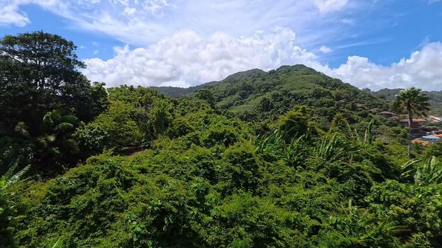 Best Western Phuket Ocean Resort - View around, 10.07.2025 смотреть онлайн