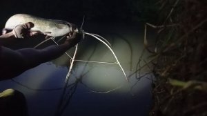 Сомяра на паук подъемник