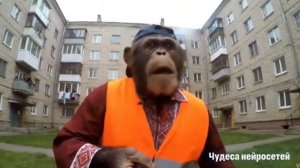Он приехал найти работу, а вышло...