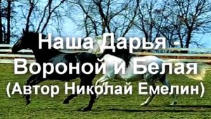 Наша Дарья - Вороной и Белая (песня Николая Емелина)
