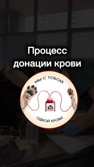 Маленькие герои с большим сердцем🐾❤️