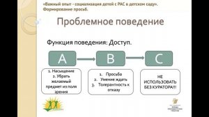 Проблемное поведение