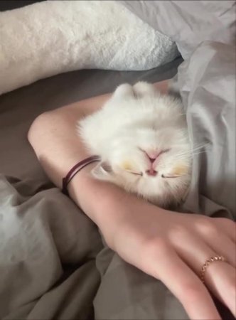 Подпишись 👉 https://vk.com/ykrasheniy_iz_kamny