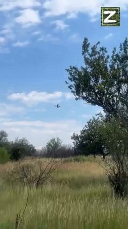 СВО