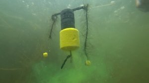 Хитрая придонная Снасть на толстолоба _ для ловли трофейной рыбы 🐠🐋🐟