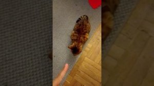 1000001127.mp4