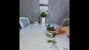 Отделить детку орхидеи и посадить в кору .