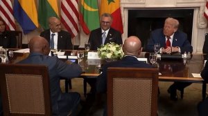 Трамп президенту Либерии: «Вы очень хорошо говорите по-английски. Где вы его выучили?»
