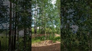 24 часа в детском садике жёлтый ручеёк.1