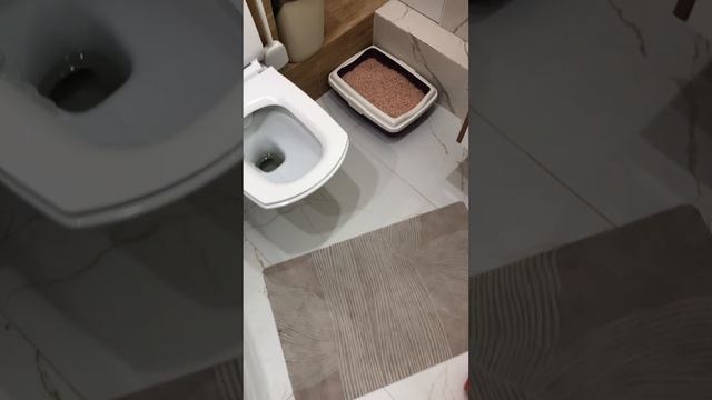 Обзор на наполнитель кошачий Барсик