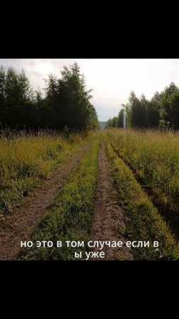 «Карта в голове»#сезонконтентаRUTUBE