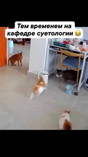 Главное завести