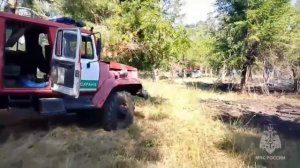 Всего сразу 30 пожаров одновременно охватили Ростовскую область.
