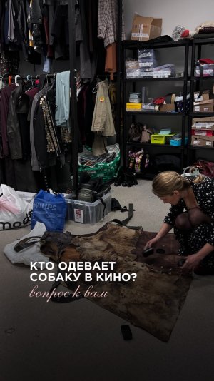 Кто одевает собаку в кино?