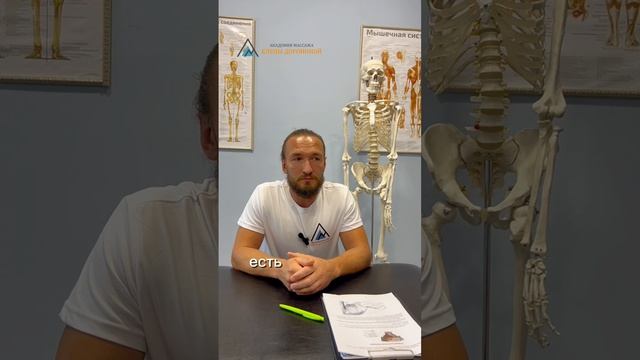 14 июля стартует курс: «ПРИКЛАДНАЯ КИНЕЗИОЛОГИЯ. БАЗОВЫЙ КУРС