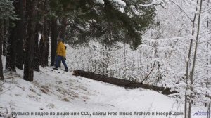 Леса и саунд рождают внутри новый мир - Add a Line -- Derek Clegg -- The Middler