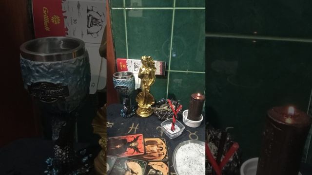 вступление 📢